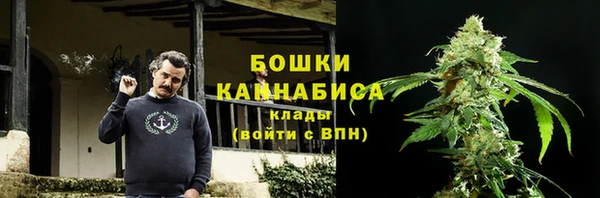 дурь Бронницы