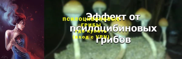 дурь Бронницы