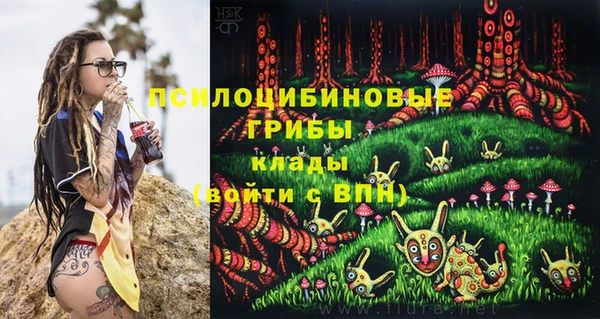не бодяженный Богородицк