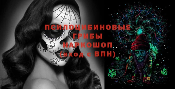 молекула духа Бугульма