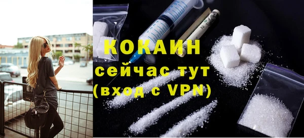 дурь Бронницы