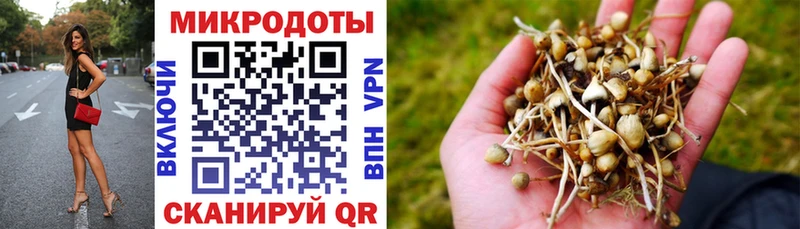 Галлюциногенные грибы мицелий Невель